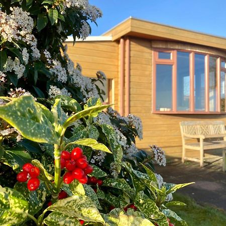3 Pers. Holiday Home Sonnenschein With Fenced Garden And Infrared Sauna Anjum Екстер'єр фото