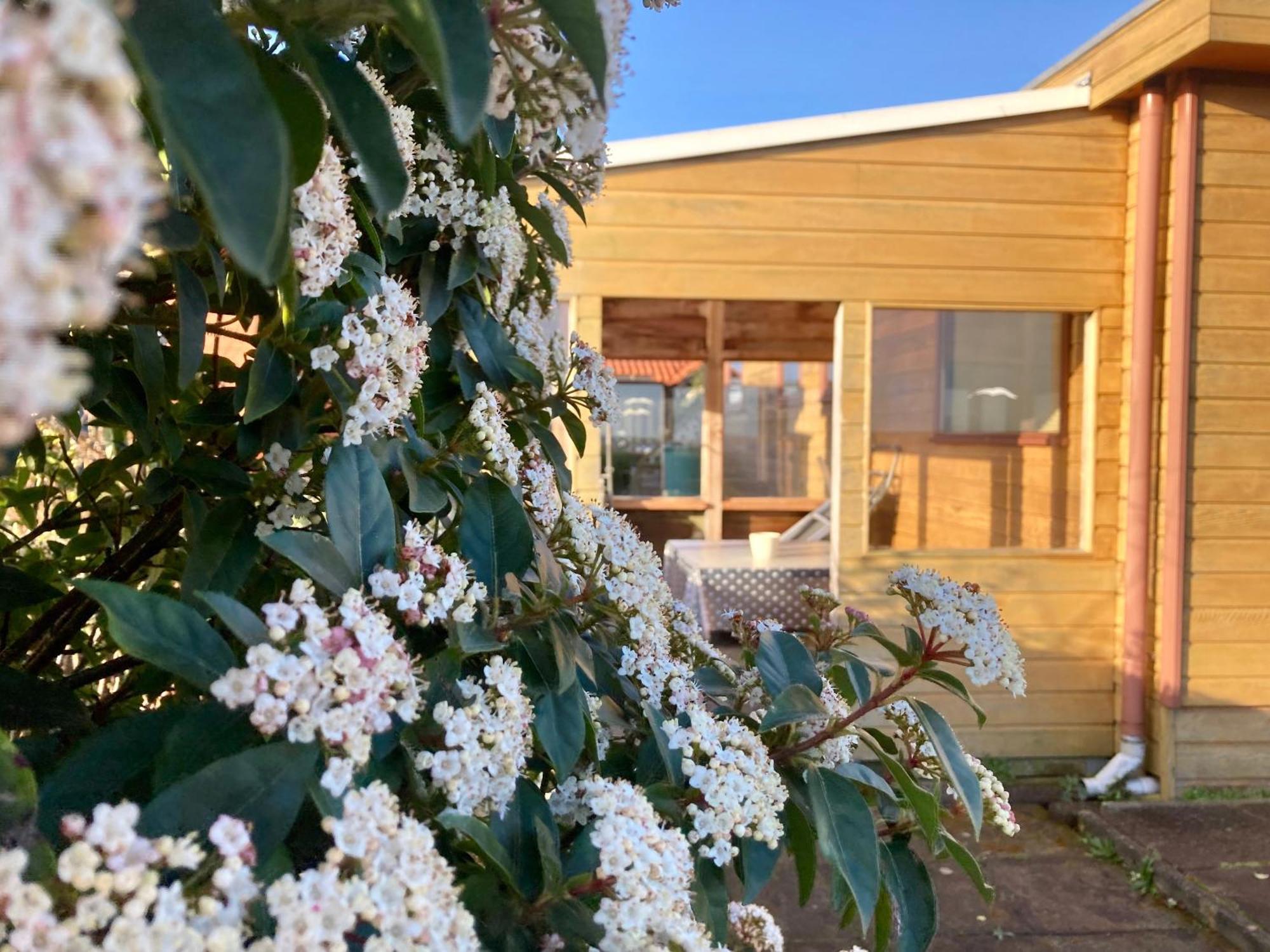 3 Pers. Holiday Home Sonnenschein With Fenced Garden And Infrared Sauna Anjum Екстер'єр фото